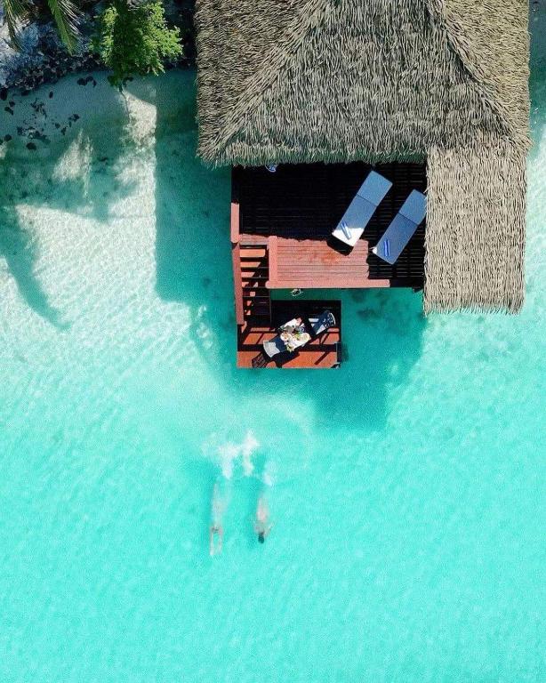 Aitutaki Lagoon Private Island Resort - Couple in Lagoon