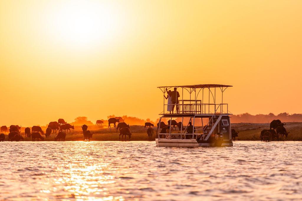 Chobe Water Villas - Site Seen