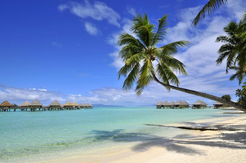 Intercontinental Bora Bora Le Moana Resort - Water Bungalows and Palm
