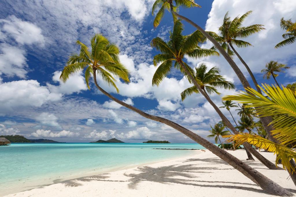 Le Bora Bora by Pearl Resorts - Beach