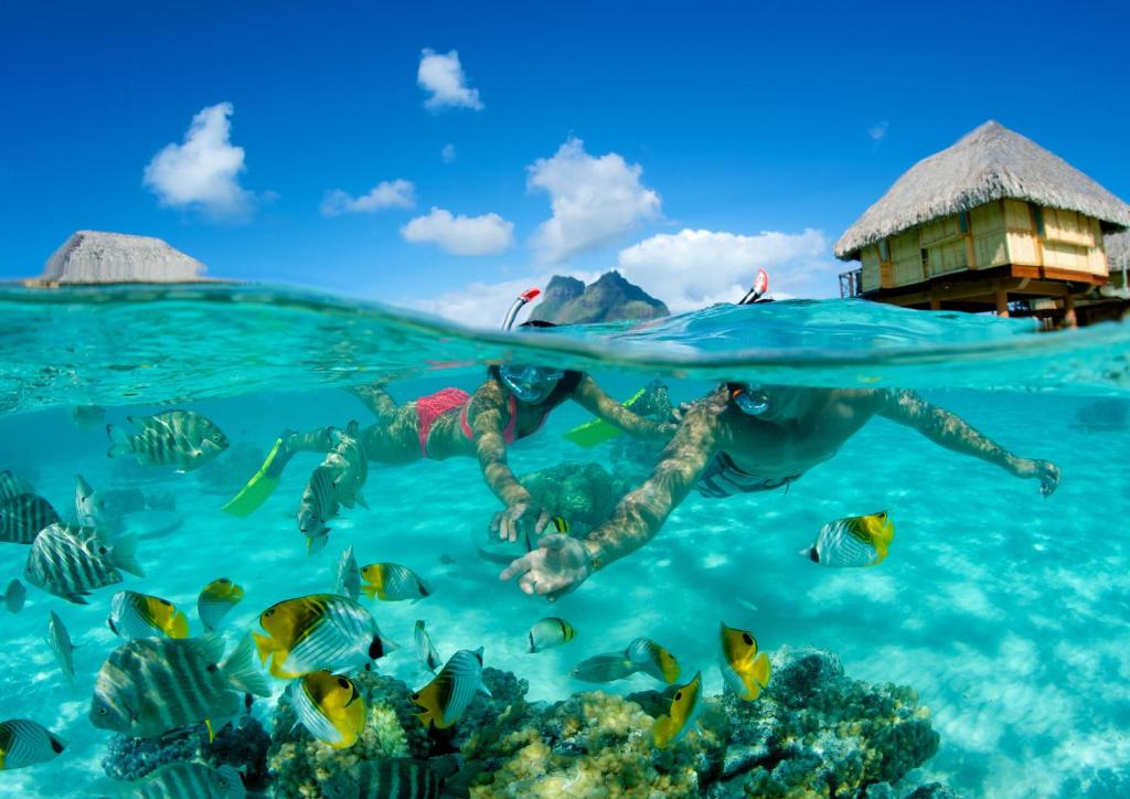 Le Bora Bora by Pearl Resorts - Snorkeling