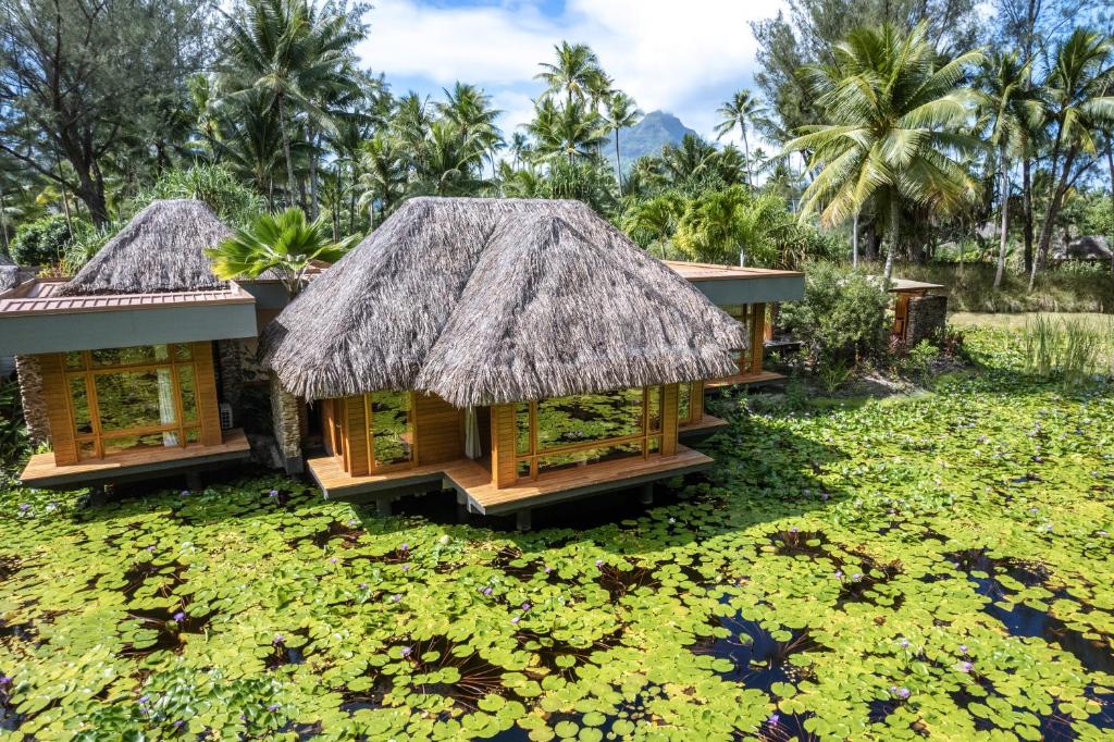 Le Bora Bora by Pearl Resorts - Spa on Waters