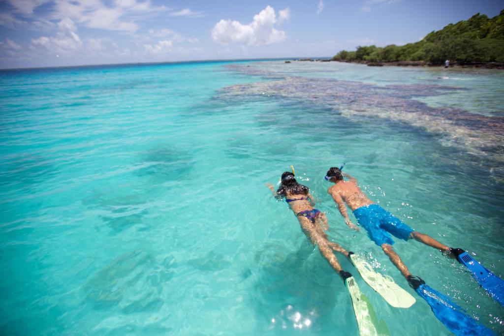 Le Tikehau by Pearl Resorts - Snorkeling