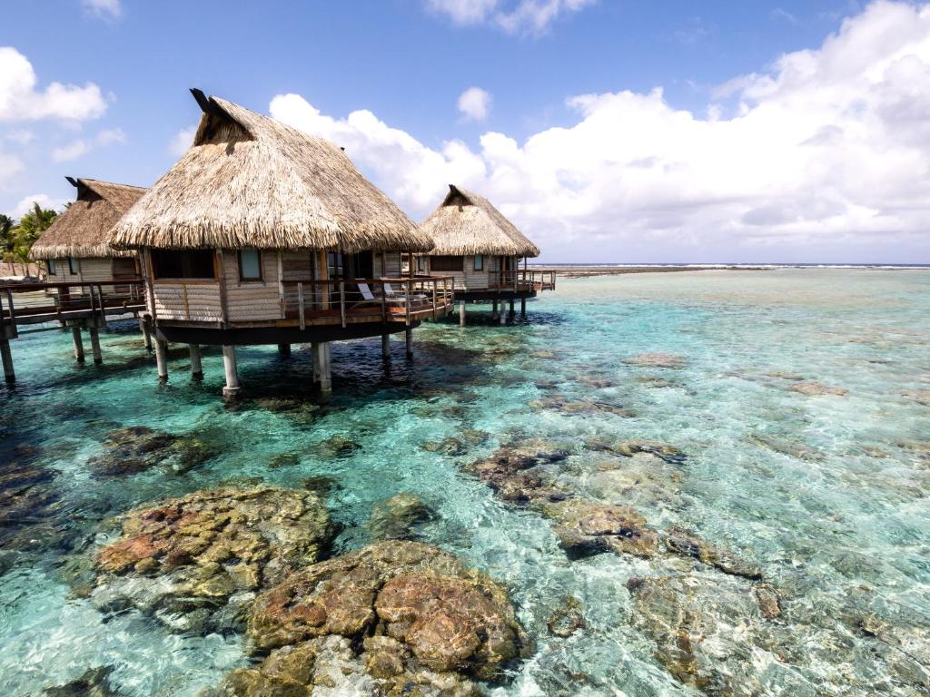 Le Tikehau by Pearl Resorts - Water Bungalow