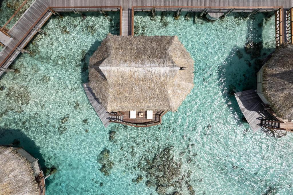 Le Tikehau by Pearl Resorts - Water Bungalows from Above