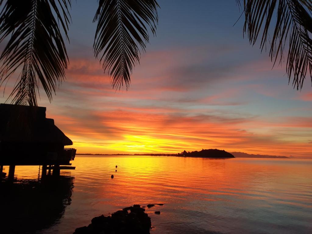 Maitai Bora Bora - Sunset
