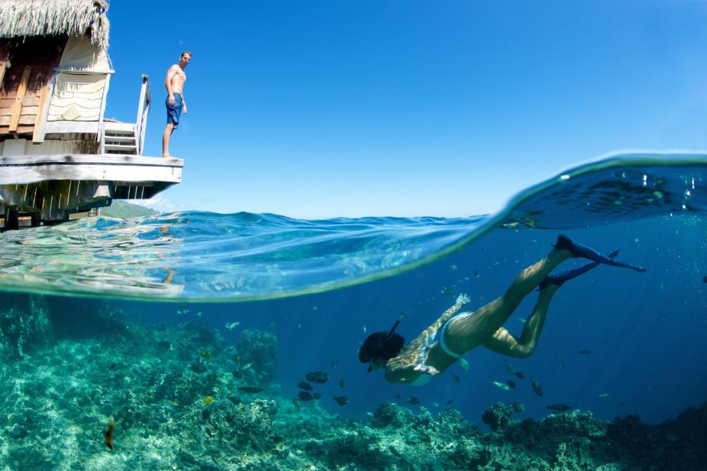 Manava Beach Resort & Spa Moorea - Under the sea