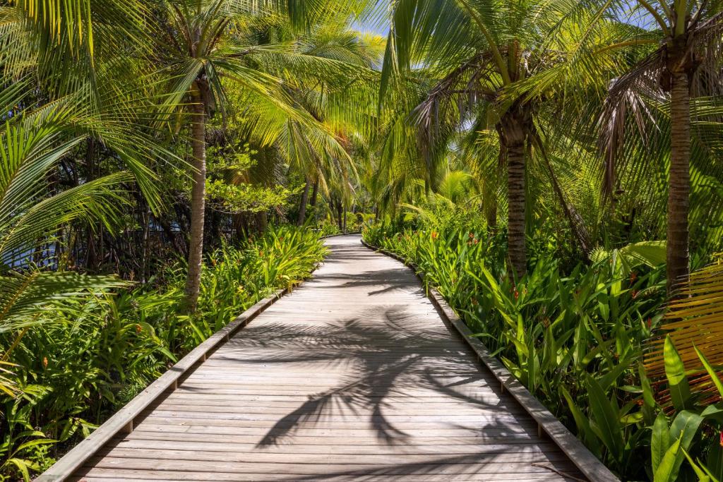 Nayara Bocas del Toro - Walk way