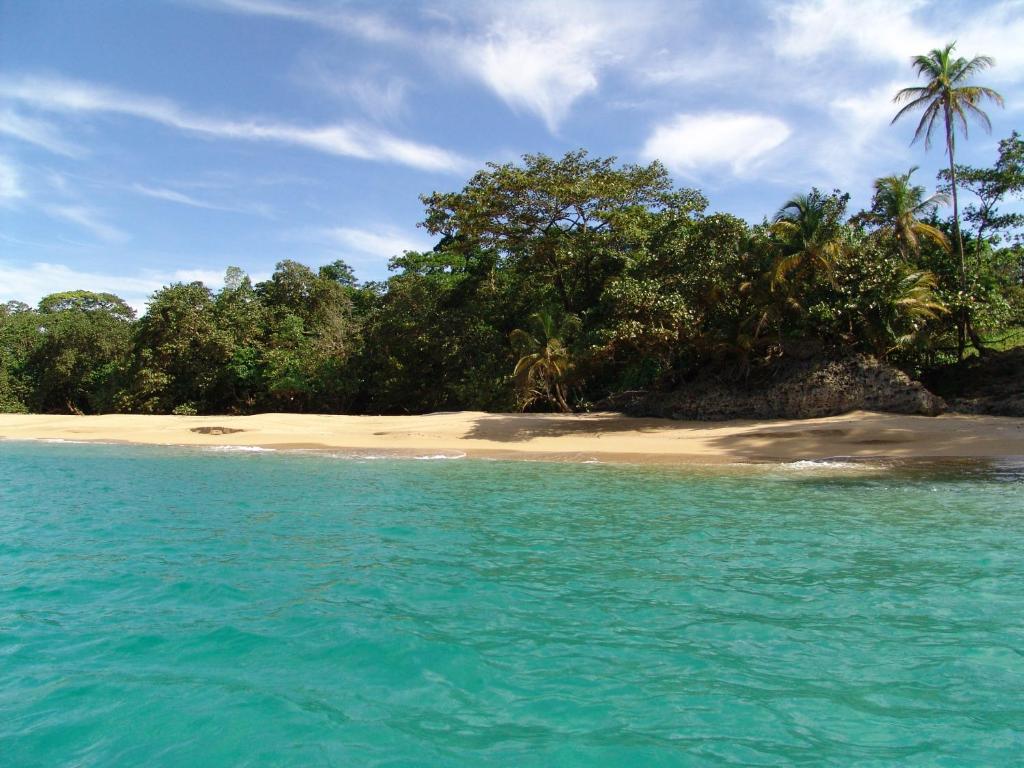 Punta Caracol Acqua Lodge - Beach