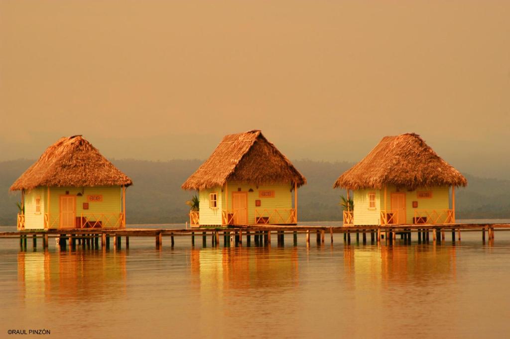 Punta Caracol Acqua Lodge - Water Bungalows