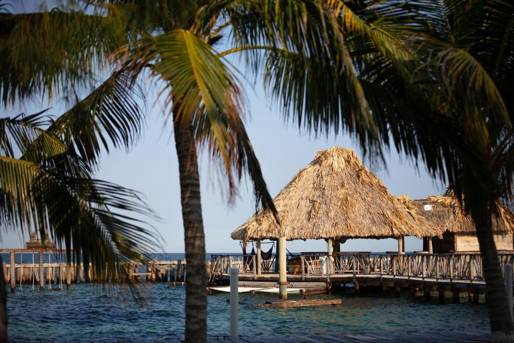 Thatch Caye Resort a Muy'Ono Resort - Arrival Jetty