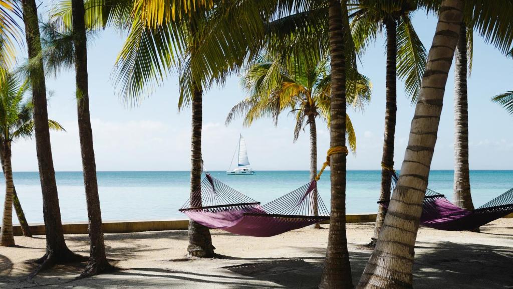 Thatch Caye Resort a Muy'Ono Resort - Hammock