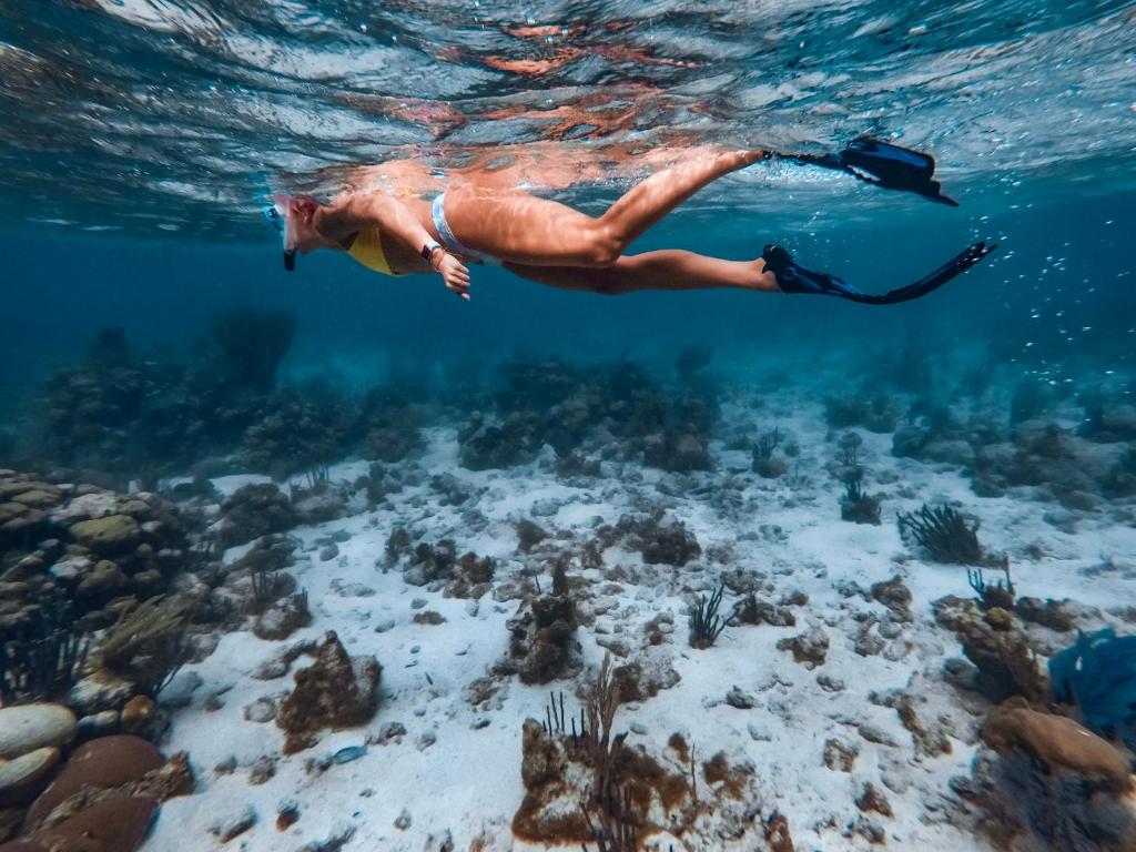 Thatch Caye Resort a Muy'Ono Resort - Snorkeling