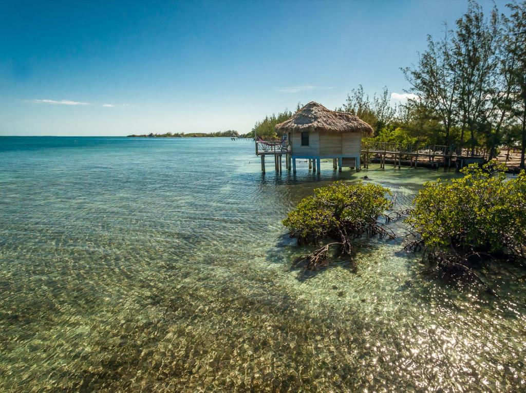 Thatch Caye Resort a Muy'Ono Resort - Water Bungalows Privacy
