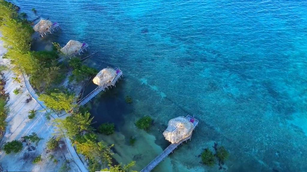 Thatch Caye Resort a Muy'Ono Resort - Water Bungalows from Above