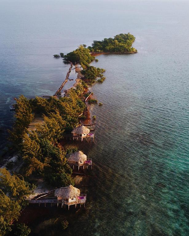 Thatch Caye Resort a Muy'Ono Resort - Water Bungalows in a row