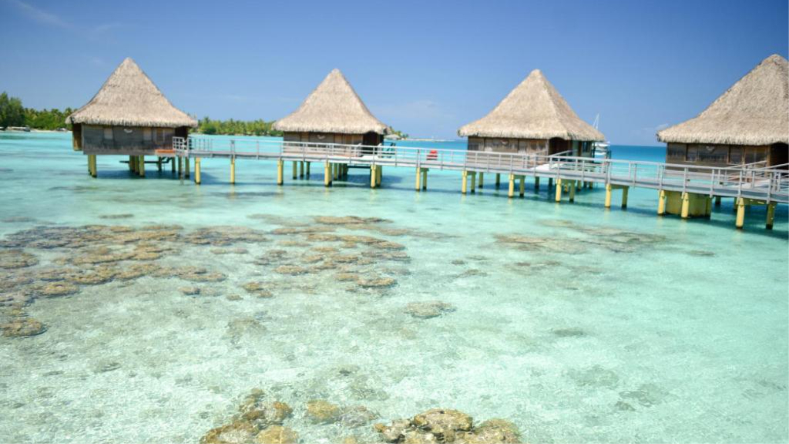 Water Bungalows in Hotel Kia Ora Resort & Spa