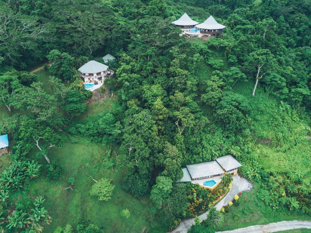 koro sun resort rain forest