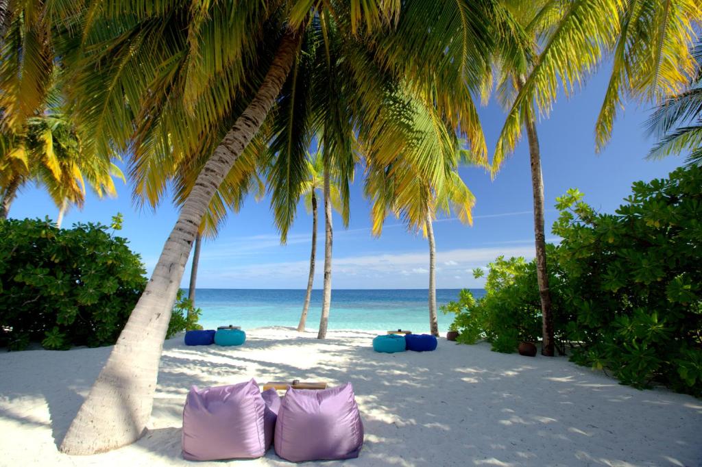 Mirihi Island Resort - Beach Siting Area