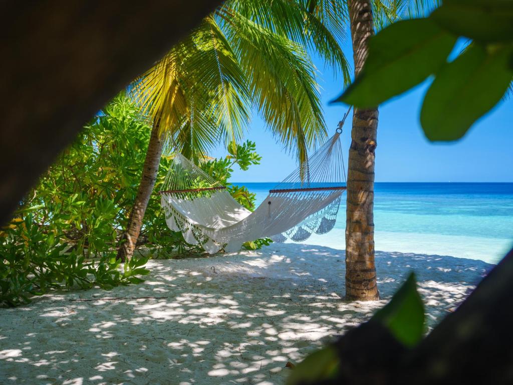 Mirihi Island Resort - Hammock