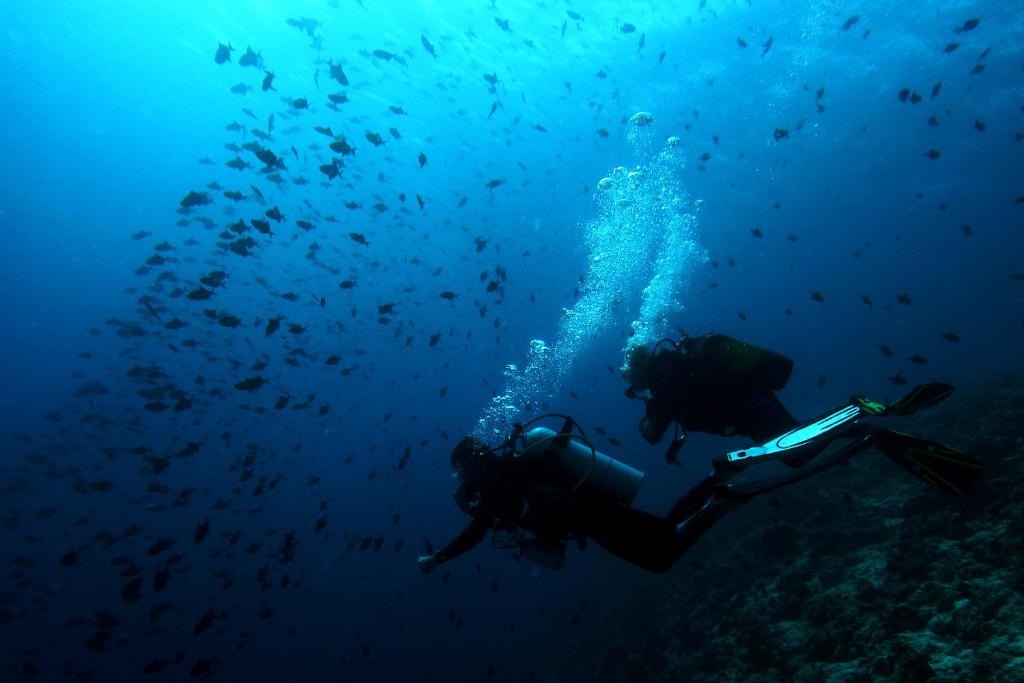 Soneva Fushi - Diving