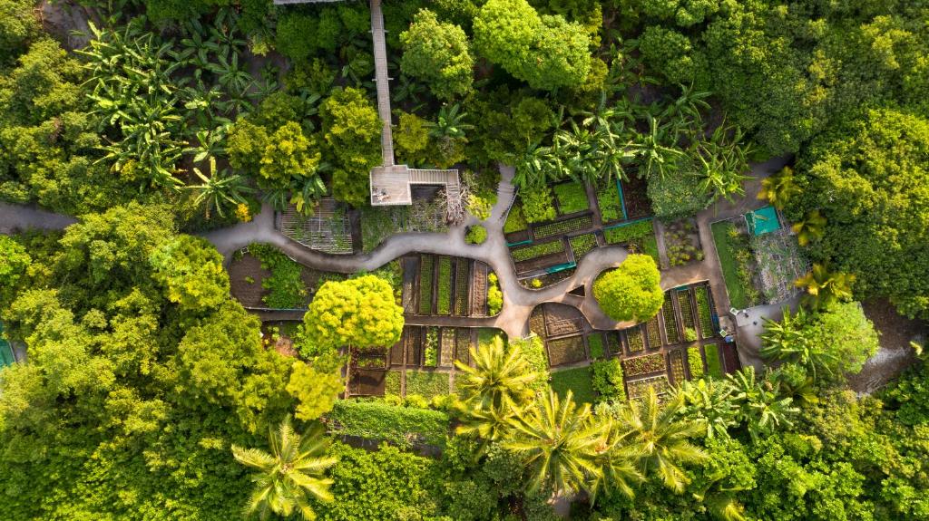 Soneva Fushi - Farm