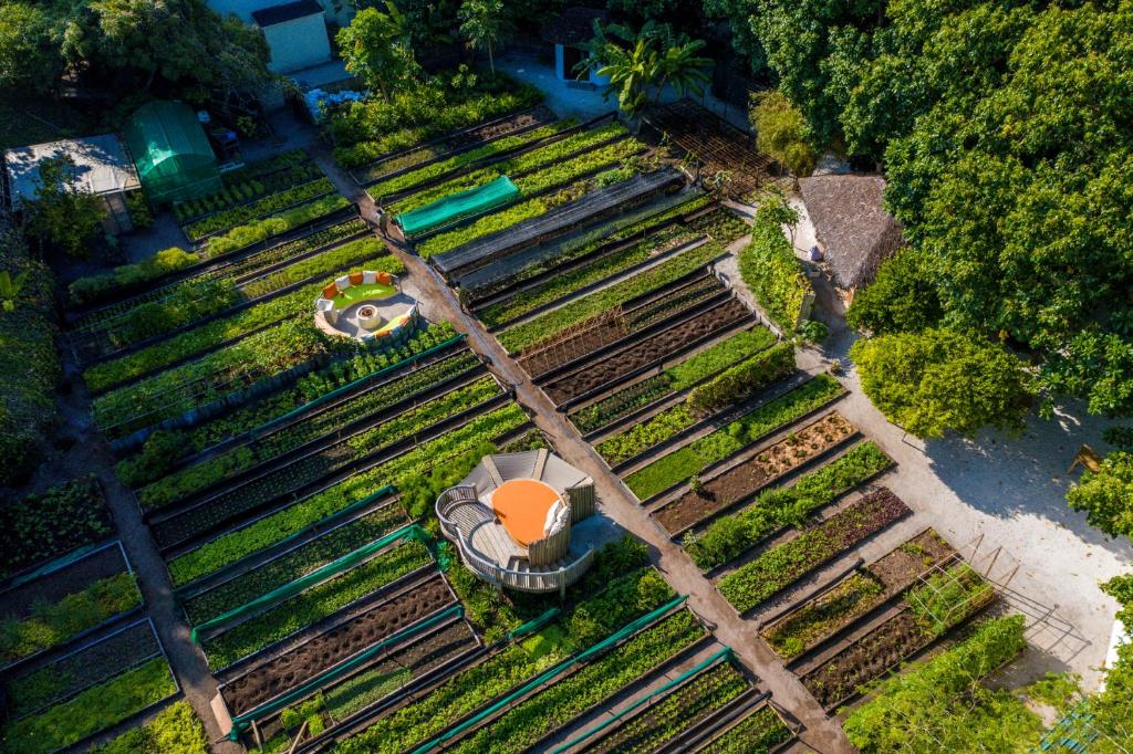 Soneva Fushi - Green House