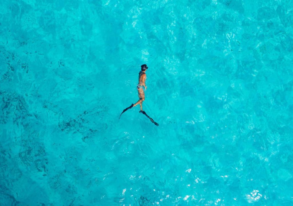 Soneva Fushi - Snorkeling