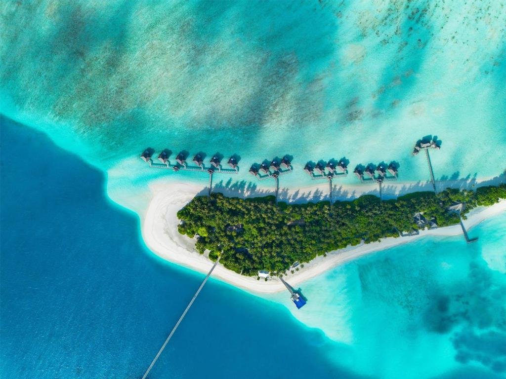 Is the Muraka worth the price