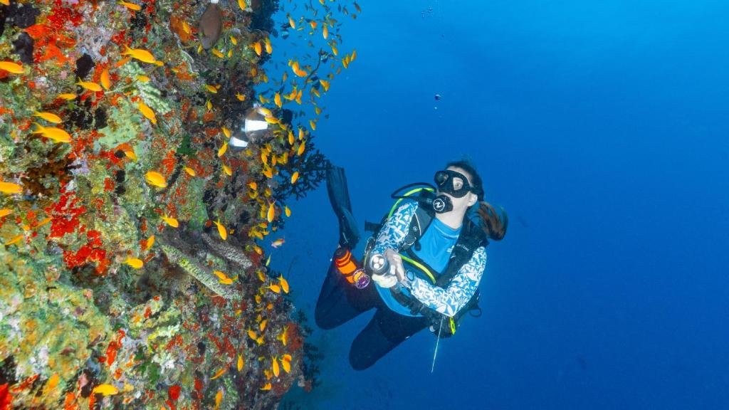 Lhaviyani Atoll marine life