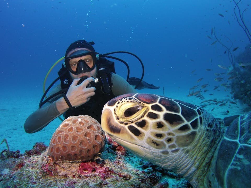 reethi faru resort diving with turtles