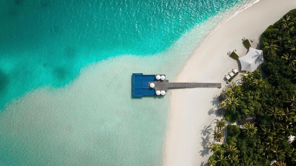 South Ari Atoll Whale Shark Tours 2026