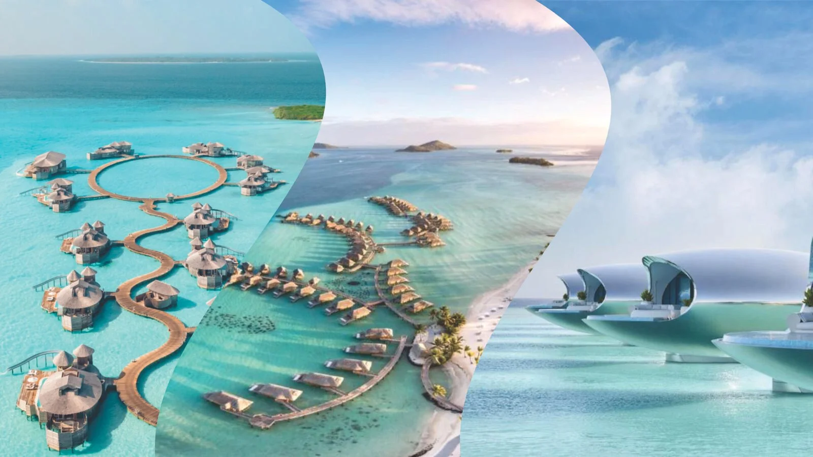 Maldives vs Bora Bora vs The Red Sea